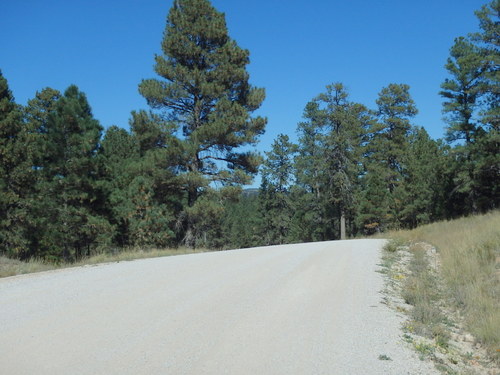 GDMBR: Little hill, nice road, north on NF-49.